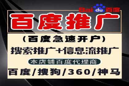 谷歌SEM广告策略：某电商平台的成功逆袭案例